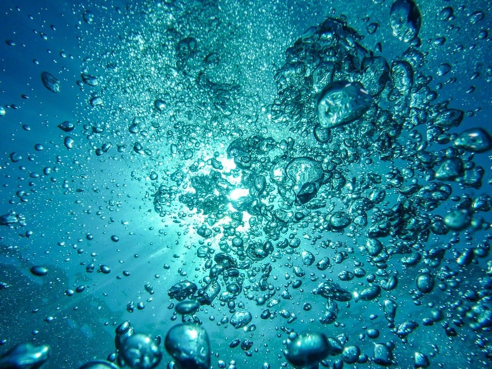 dont-dive-in-1.jpg dont-dive-in-1.jpg