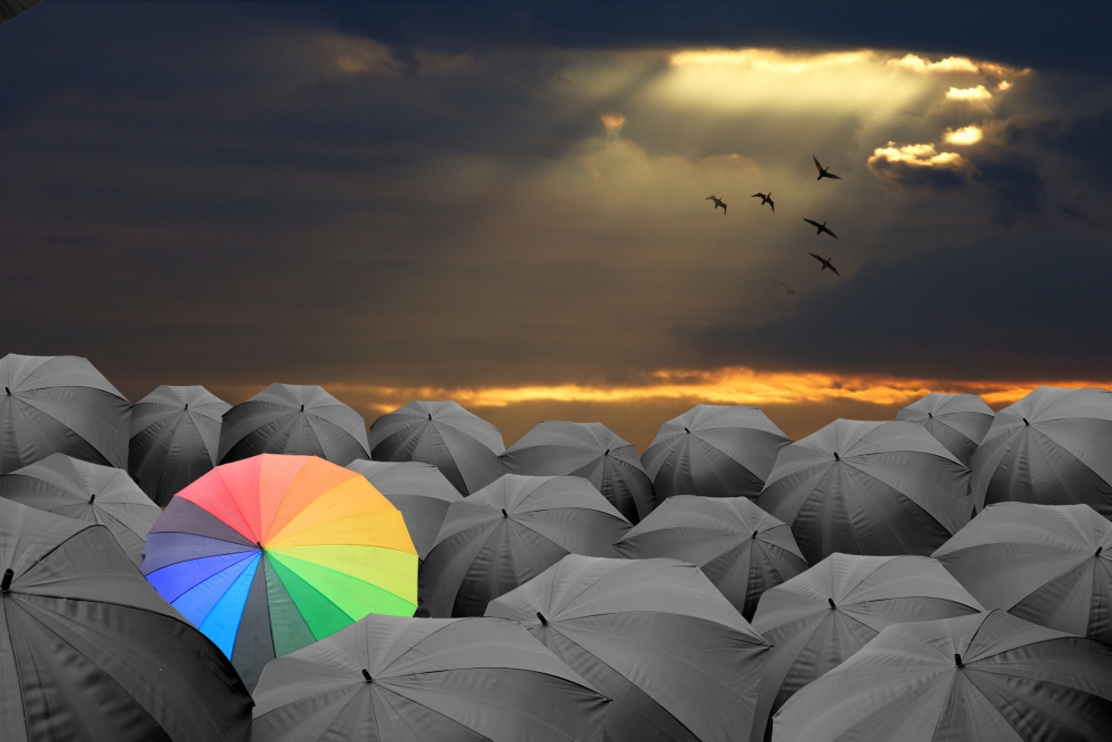shutterstock_163223417-1.jpg shutterstock_163223417-1.jpg