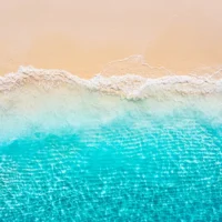 shutterstock_2626301837